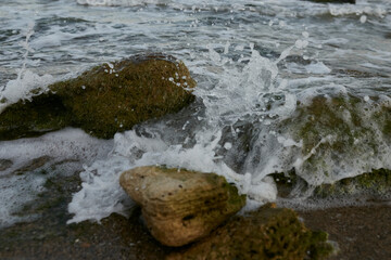 Sea. The water's edge on the sea. Small waves on the sea. 
