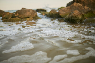 Sea. The water's edge on the sea. Small waves on the sea. 