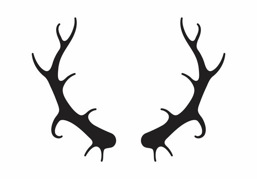 Deer antlers vector. Silhouette of the horns of a wild elk, roe deer on a white background.
