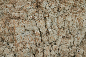 Texture of dry brown clay and earth close up. pieces of dry brown clay close-up, background brown dry clay