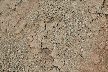 Texture of dry brown clay and earth close up. pieces of dry brown clay close-up, background brown dry clay