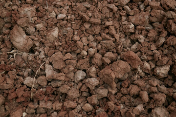 Texture of dry brown clay and earth close up. pieces of dry brown clay close-up, background brown dry clay