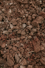 Texture of dry brown clay and earth close up. pieces of dry brown clay close-up, background brown dry clay