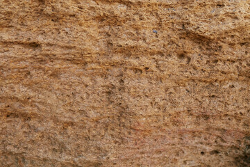 Texture of shell rock and earth close-up. breed
