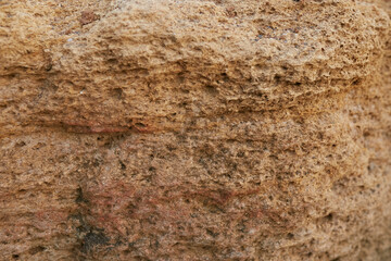 Texture of shell rock and earth close-up. breed
