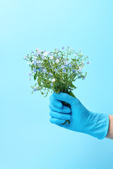 Gloved hand holding blue flowers bouquet, care and protection concept, eco or alternative therapy.