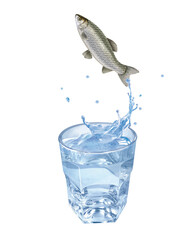 amour, poisson, évasion, saut, eau, en verre, boire, clapoter, liquide, isolé, froid, blanc, danger, boisson, glace, bouillonner, bleu, éclaboussure, frais, clair, abattre, verser, sain, transparent, 