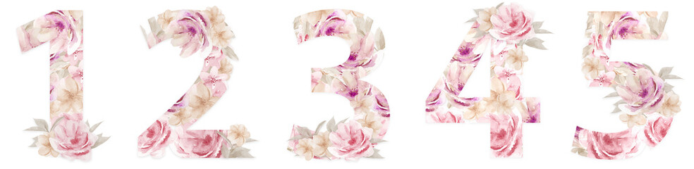 Floral Number Watercolor Alphabet Design Set. Watercolour Flower numbers 1 2 3 4 5 isolated on white background.