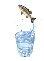 black basse, poisson, évasion, saut, eau, en verre, boire, clapoter, liquide, isolé, froid, blanc, danger, boisson, glace, bouillonner, bleu, éclaboussure, frais, clair, abattre, verser, sain, transpa