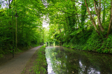 Fototapeta premium canal in the forest