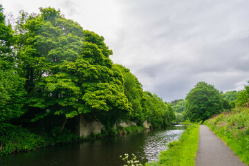 Fototapeta na wymiar canal in the forest