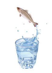 maigre, poisson, évasion, saut, eau, en verre, boire, clapoter, liquide, isolé, froid, blanc, danger, boisson, glace, bouillonner, bleu, éclaboussure, frais, clair, abattre, verser, sain, transparent,