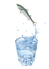 maquereau, poisson, évasion, saut, eau, en verre, boire, clapoter, liquide, isolé, froid, blanc, danger, boisson, glace, bouillonner, bleu, éclaboussure, frais, clair, abattre, verser, sain, transpare