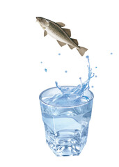 morue, poisson, évasion, saut, eau, en verre, boire, clapoter, liquide, isolé, froid, blanc, danger, boisson, glace, bouillonner, bleu, éclaboussure, frais, clair, abattre, verser, sain, transparent, 
