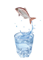 pageot , poisson, évasion, saut, eau, en verre, boire, clapoter, liquide, isolé, froid, blanc, danger, boisson, glace, bouillonner, bleu, éclaboussure, frais, clair, abattre, verser, sain, transparent