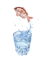 pagre, poisson, évasion, saut, eau, en verre, boire, clapoter, liquide, isolé, froid, blanc, danger, boisson, glace, bouillonner, bleu, éclaboussure, frais, clair, abattre, verser, sain, transparent, 