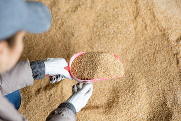 Closeup of red scoop with grinded soy husk in hands of female farmer checking quality of livestock feed in farm storage.. - obrazy, fototapety, plakaty