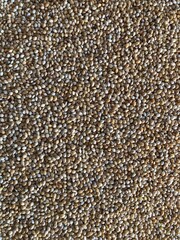 Small round brown seeds for canaries.
