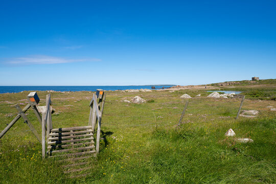 Dagshog nature reserve close to Torekov on the Swedish west Coast . Popular hiking destination.
