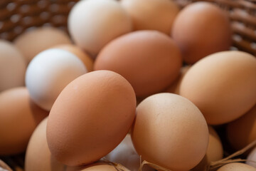 fresh eggs in a wooden basket  at agriculture farm.
