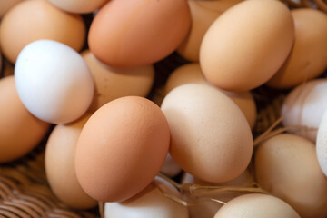 fresh eggs in a wooden basket  at agriculture farm.