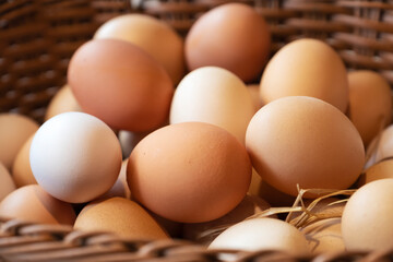 fresh eggs in a wooden basket  at agriculture farm.