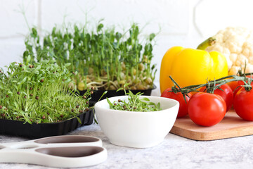 Table with fresh vegetables and microgreens. Freshly cut coriander microgreens, cherry tomatoes, sweet peppers and cauliflower in the kitchen. Concept of healthy food