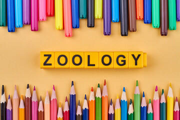 Flat lay with word zoology written on yellow cubes and colorful pencils. Science about animals.