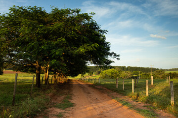 Fototapeta na wymiar Rural dirt road running through farms, with trees and fences on the side and blue sky in high resolution