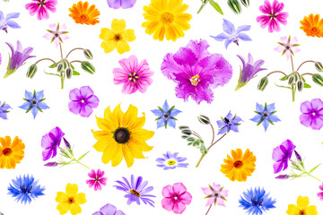 Bright pattern of colorful flowers on a white background, as a backdrop or texture. Spring, summer floral wallpaper for your design. Top view Flat lay