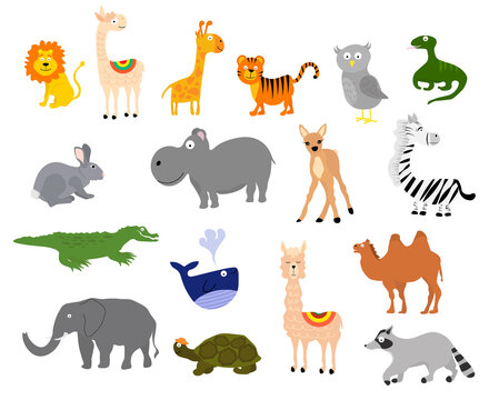 Collection of different animals. Vector set - elephant and giraffe, crocodile, owl, zebra and others. For use in the design of covers and brochures, flyers, icons, cards and posters.