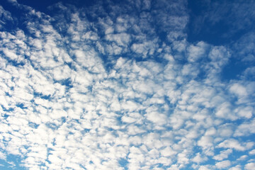 Blank sky surface with small clouds