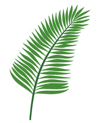 挿し絵などに使える、ハワイアンな植物、ヤシの葉っぱのシンプルなイラスト