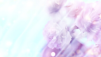 Obraz na płótnie Canvas Carnation background on light color background. 3d rendering