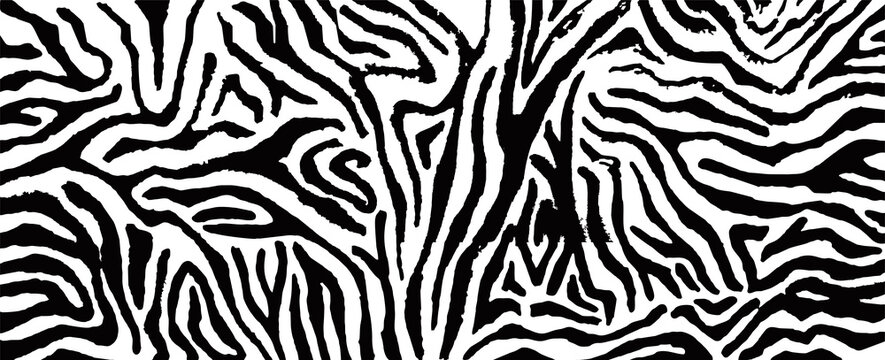 Trendy zebra skin pattern background vector. Animal print background for fabric, textile, design, advertising banner.