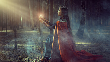 princess with magic sword - obrazy, fototapety, plakaty