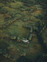 Aerial view of fresh green and yellow rice fields and palmyra trees in Mekong Delta, Tri Ton town, An Giang province, Vietnam. Ta Pa rice field.