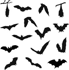 Bat silhouette collection for halloween