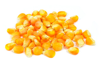 Corn isolated on white background