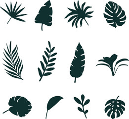 Tropical leaf silhouettes collection