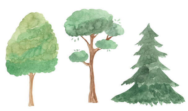 Watercolor tree illustration for kids