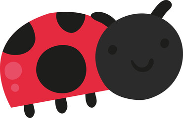 ladybug
