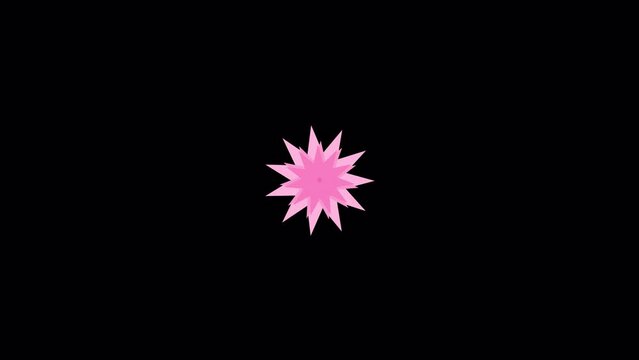 Set of 11 pointed star wipe transitions animated on the 4k transparent background with an alpha channel. 5 types of the color pattern included.