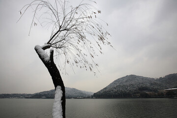 Dongqian Lake Ningbo Zhejiang Province natural scenery mountains sky and clouds glow lake reflection flowers smoke branches ethereal