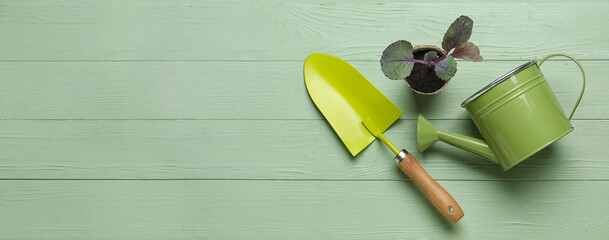 Watering can, plant and gardening shovel on color wooden background with space for text