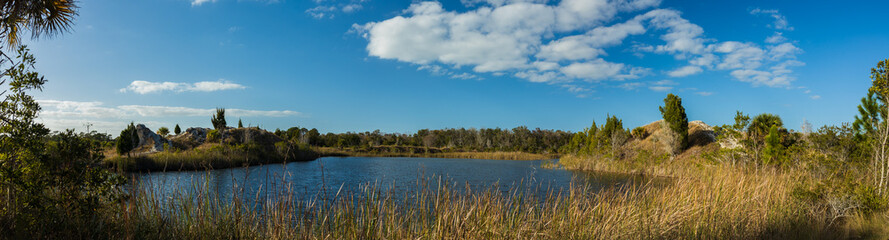 Fototapeta na wymiar Lake at Aripeka Sandhills Preserve in Hudson Florida