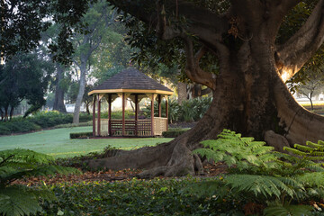 gazebo in the park