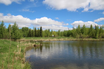 Spring On The Lake, Pylypow Wetlands, Edmonton, Alberta