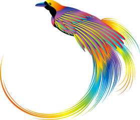 カラフルで鮮やかな色彩の鳥　フレーム