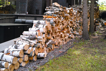 birch tree firewood stack